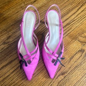 2.5 inch Schutz pump